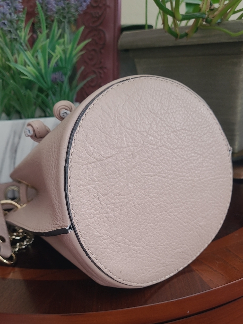 NWOT Beige Bucket Bag with Gold Hardware - Picture 4 of 16
